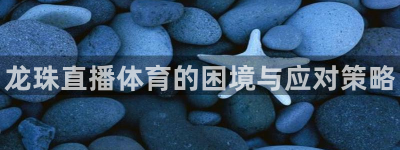 龙珠直播体育的困境与应对策略