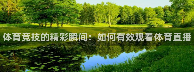 体育竞技的精彩瞬间：如何有效观看体育直播