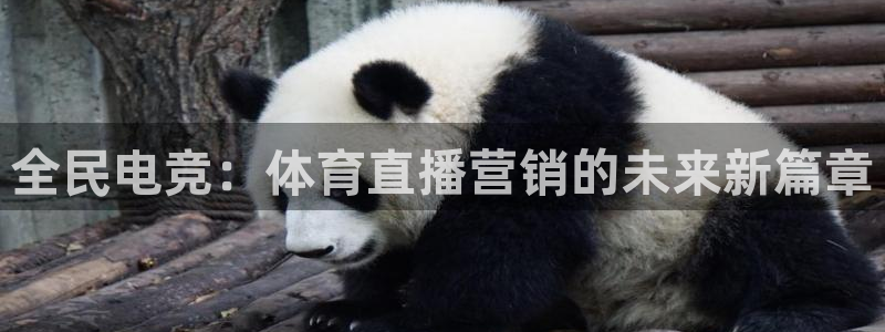 全民电竞：体育直播营销的未来新篇章