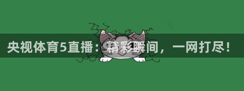 央视体育5直播：精彩瞬间，一网打尽！