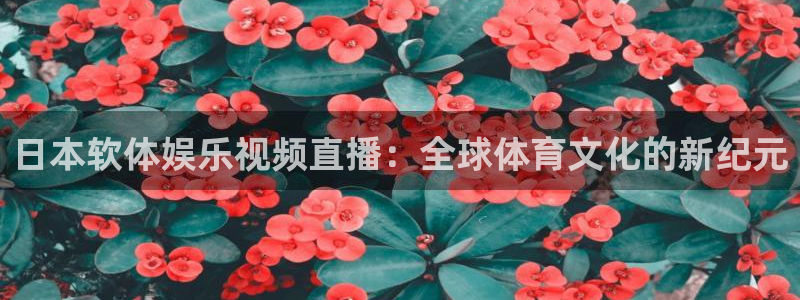 日本软体娱乐视频直播：全球体育文化的新纪元